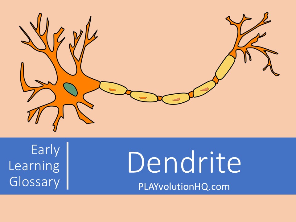 dendrite stories