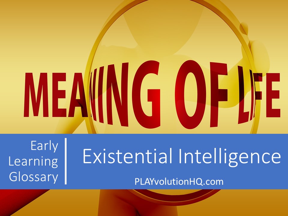Existential Intelligence