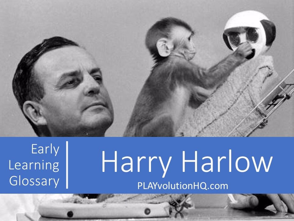 Harry Harlow