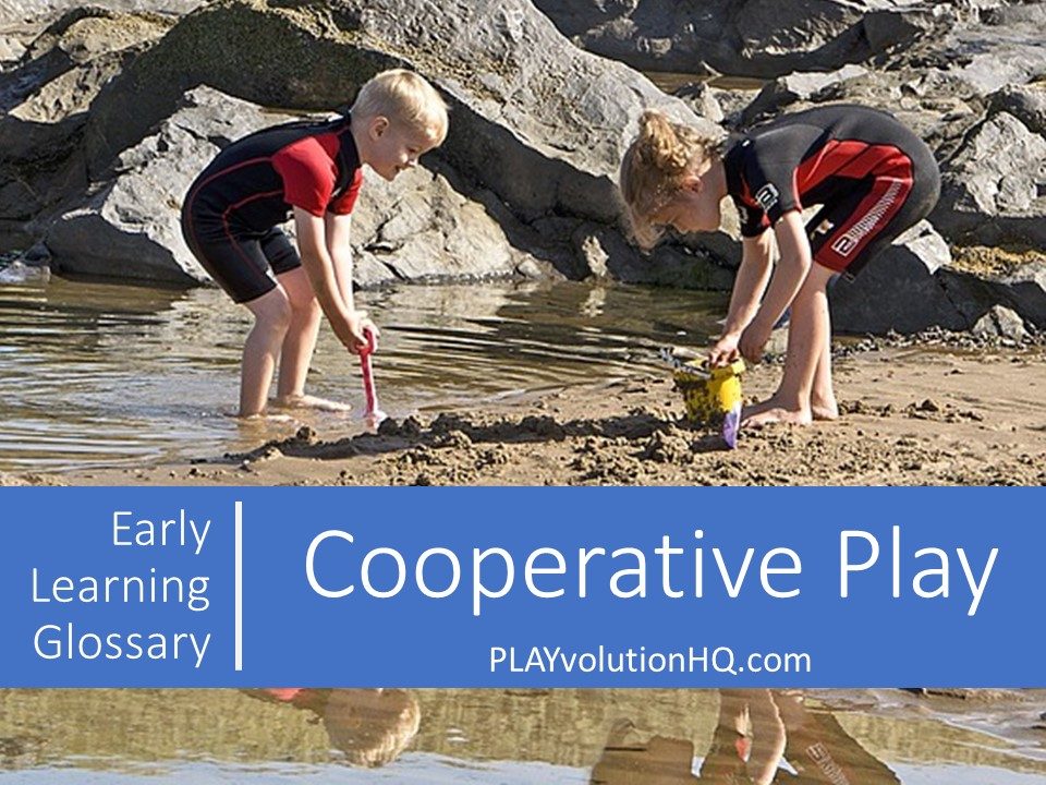 cooperative-play-playvolution-hq