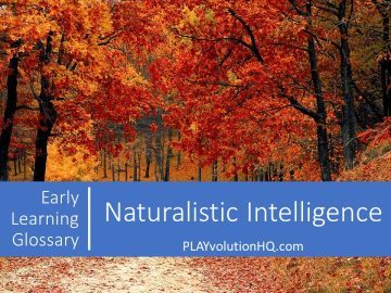 Naturalistic Intelligence