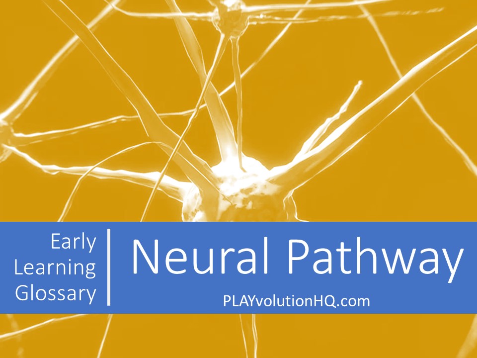 Neural Pathway