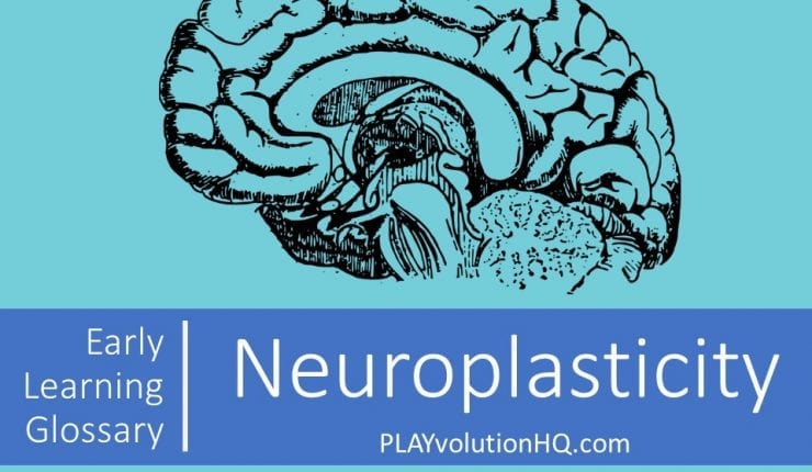 Neuroplasticity