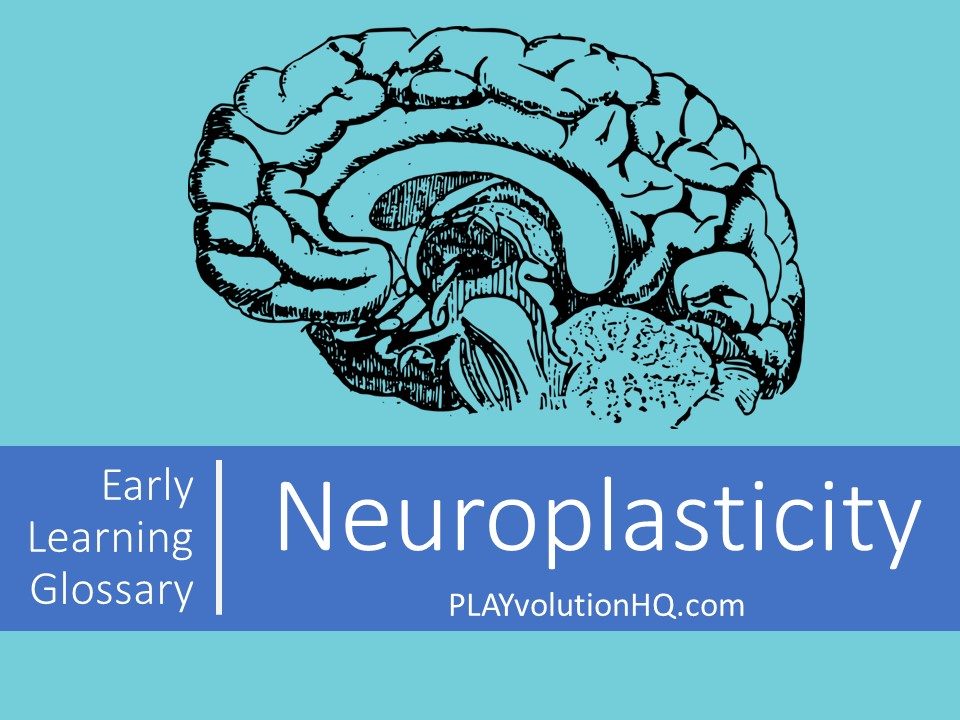 Neuroplasticity