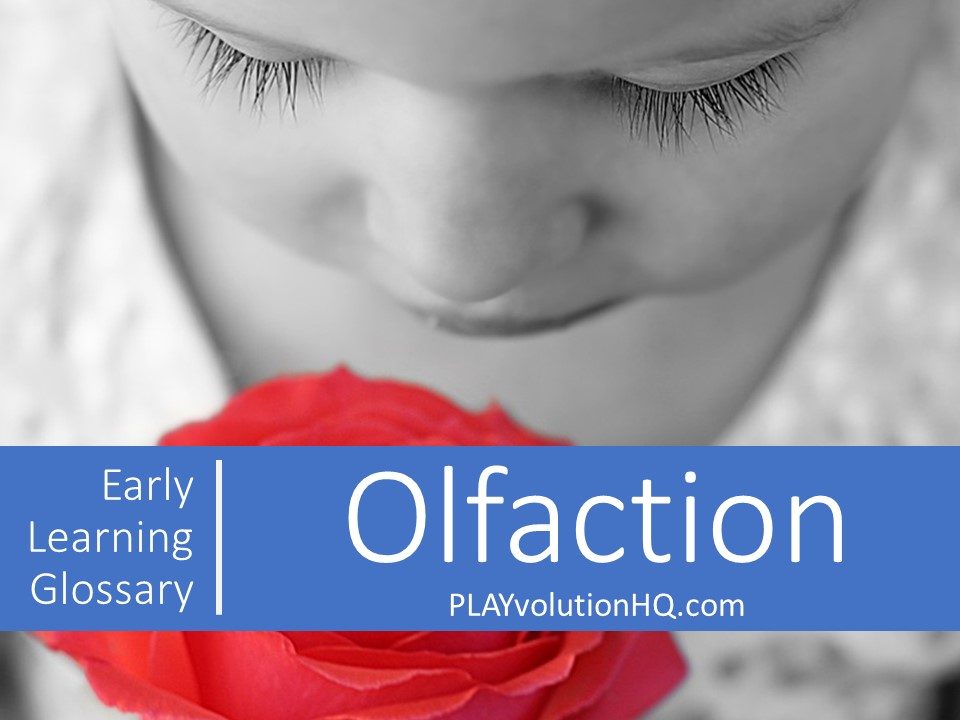 Olfaction