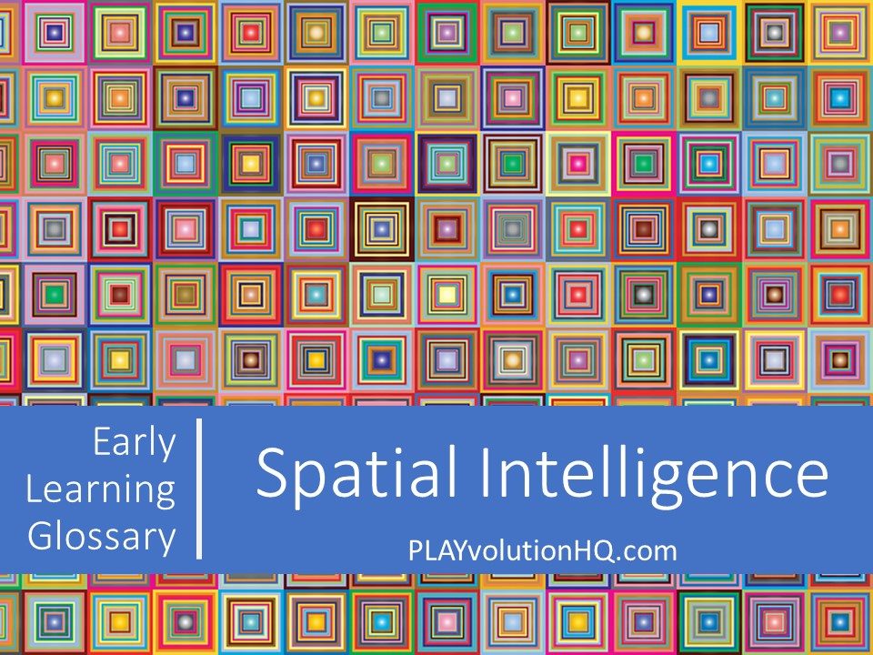 Spatial Intelligence