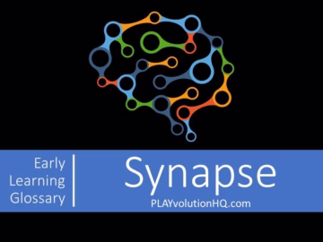 Synapse