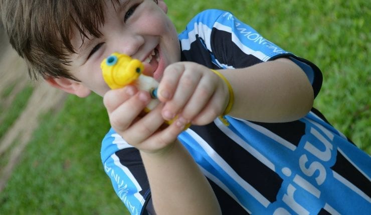 Young Children’s Play Fighting and Use of War Toys