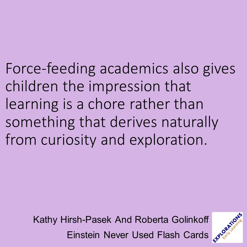 Einstein Never Used Flash Cards | Quote 02765