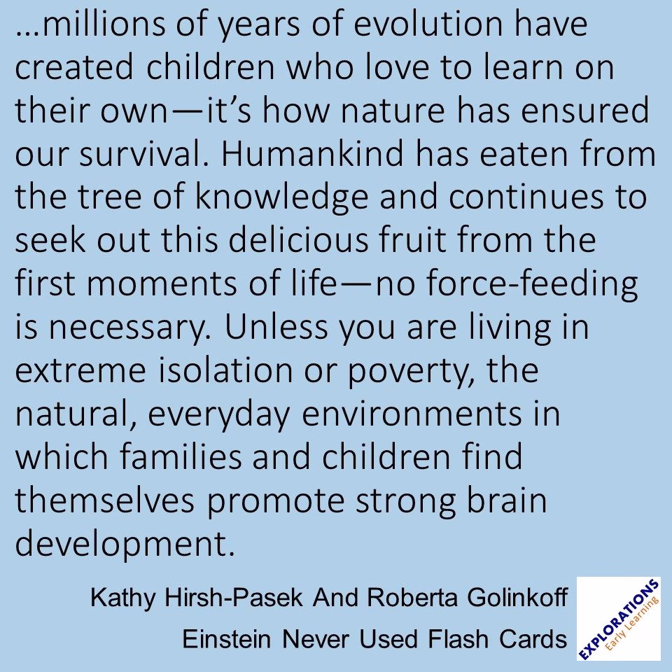 Einstein Never Used Flash Cards | Quote 02809