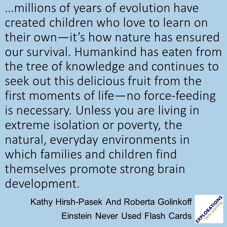 Einstein Never Used Flash Cards | Quote 02809