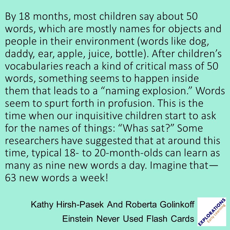 Einstein Never Used Flash Cards | Quote 02840