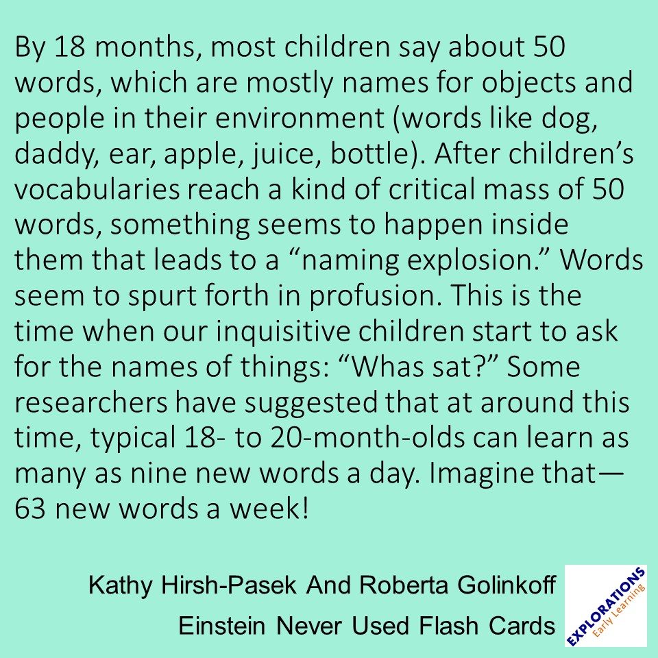 Einstein Never Used Flash Cards | Quote 02840