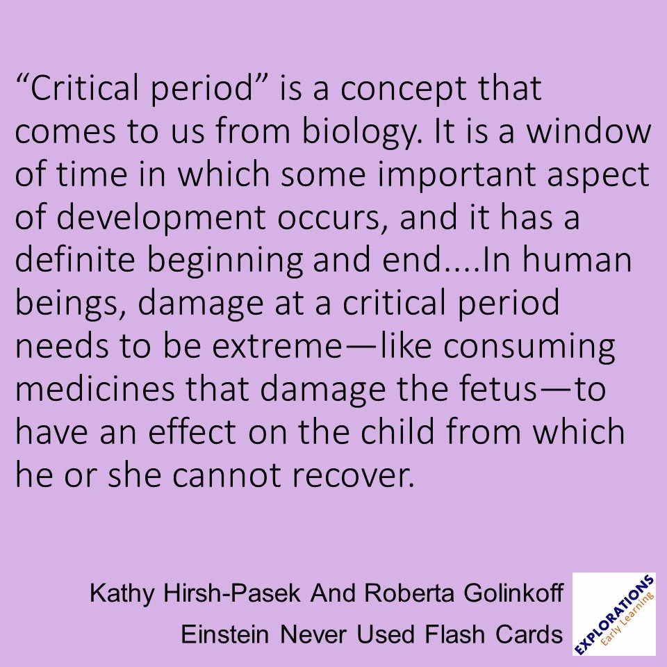 Einstein Never Used Flash Cards | Quote 02860