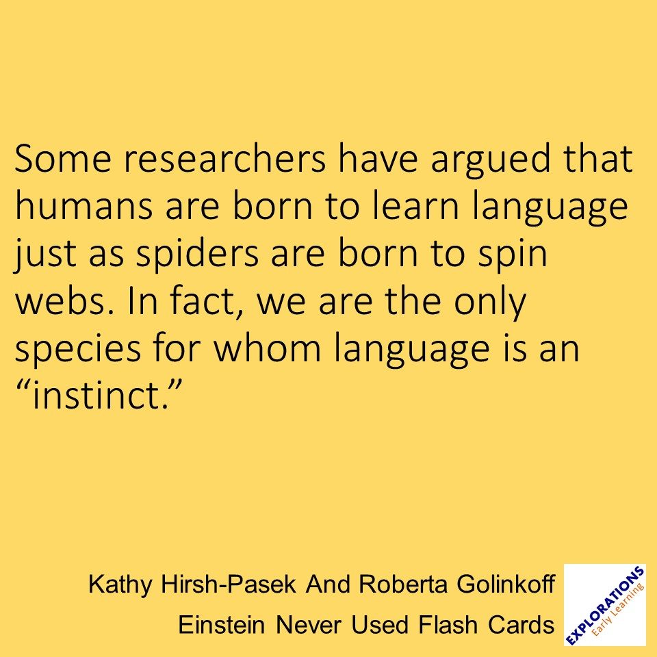 Einstein Never Used Flash Cards | Quote 03042