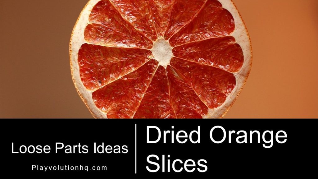 Dried Orange Slices