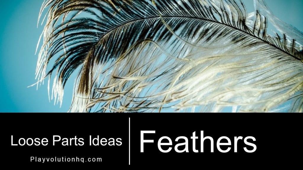 Feathers