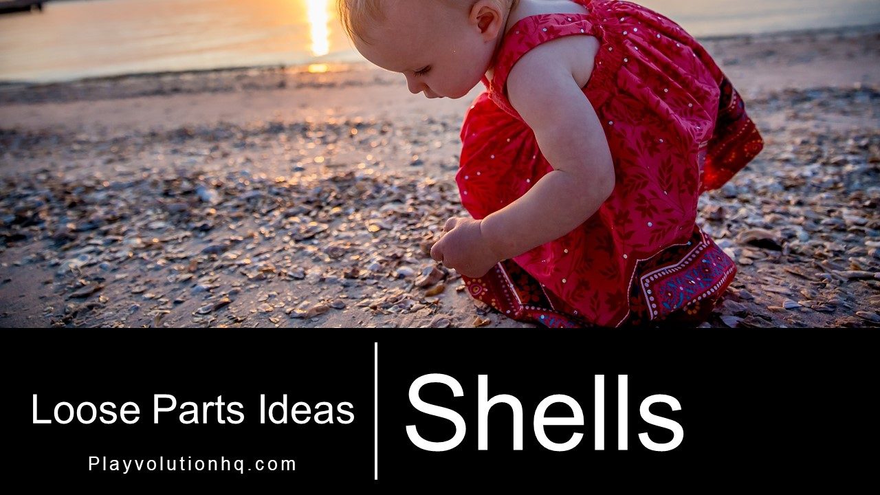 Shells