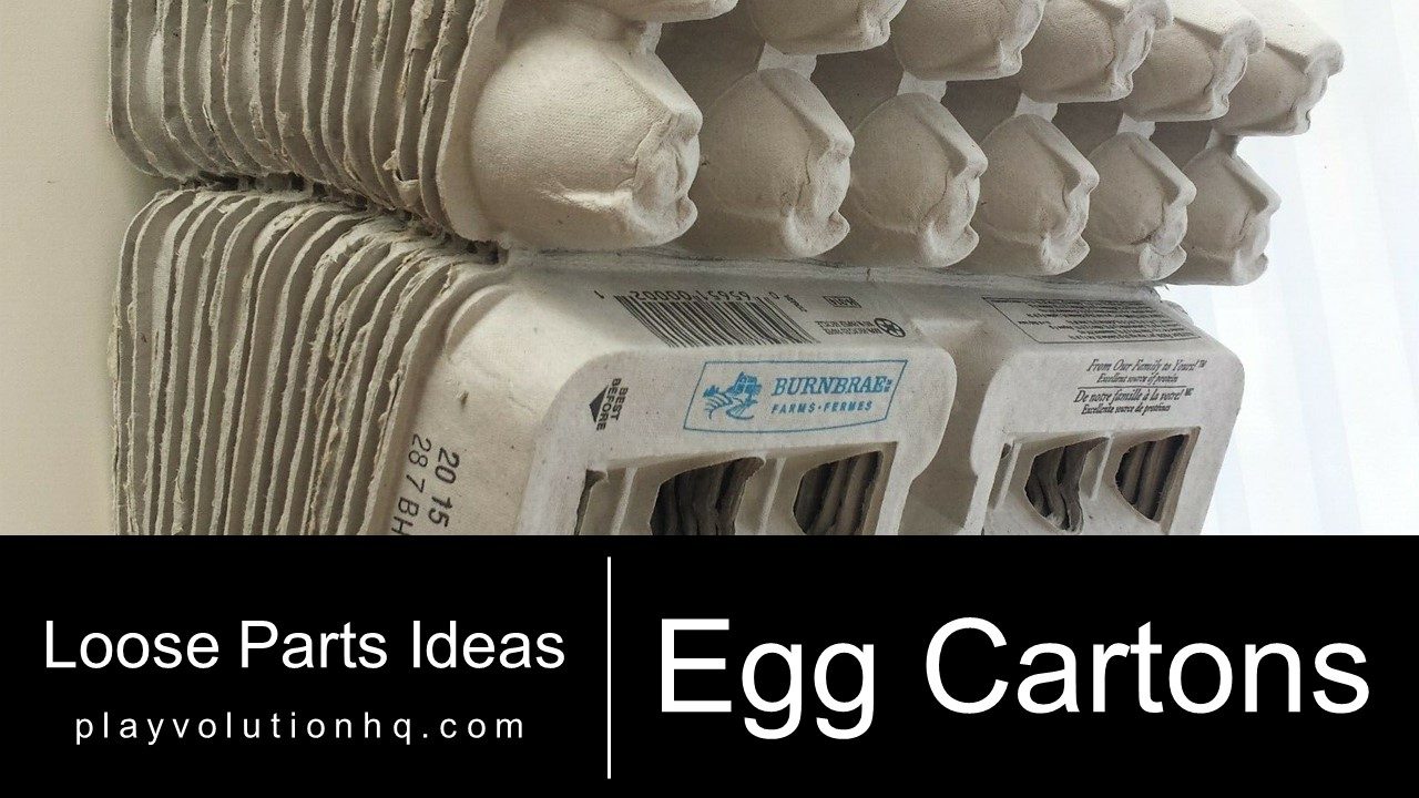 Egg Cartons
