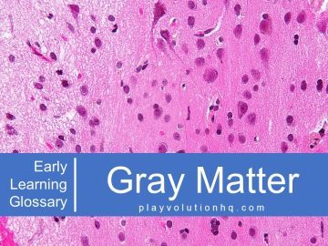 Gray Matter