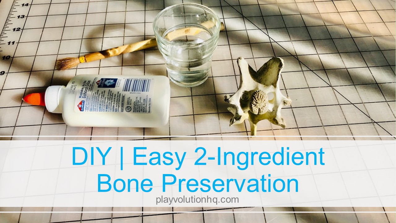 DIY | Easy 2-Ingredient Bone Preservation
