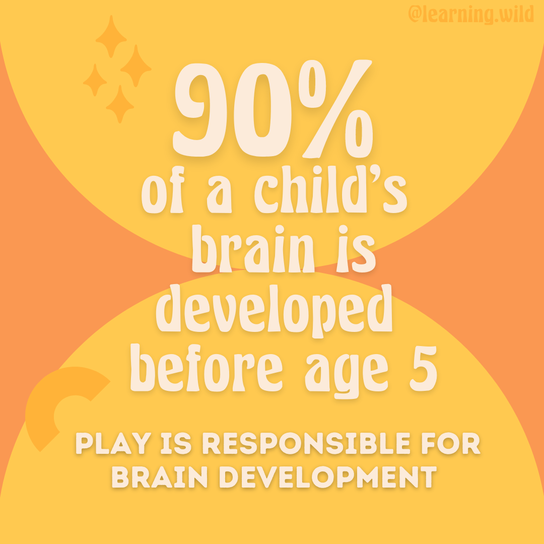 Brains Develop Through Play