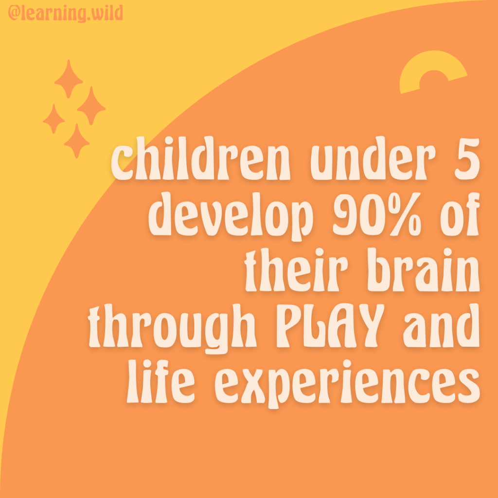 Brains Develop Through Play