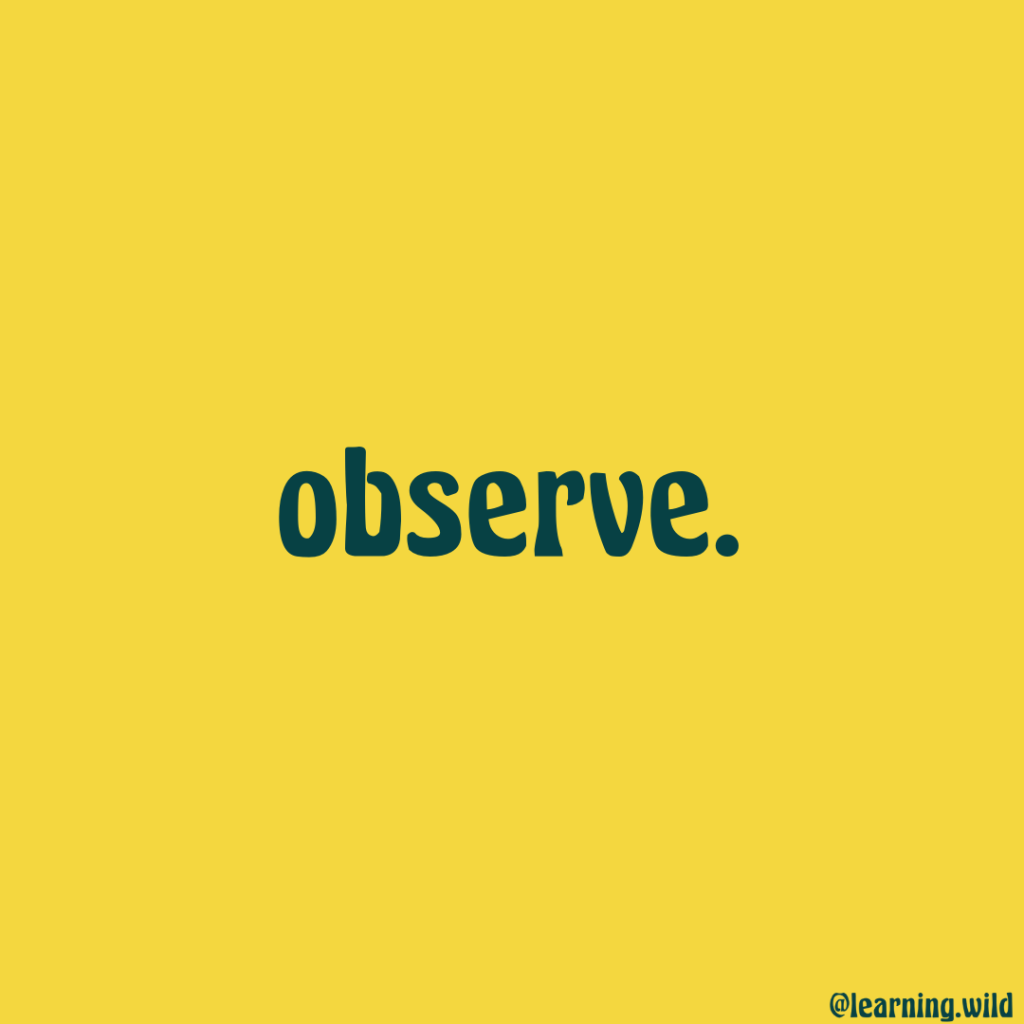 How To Be A Play Detective