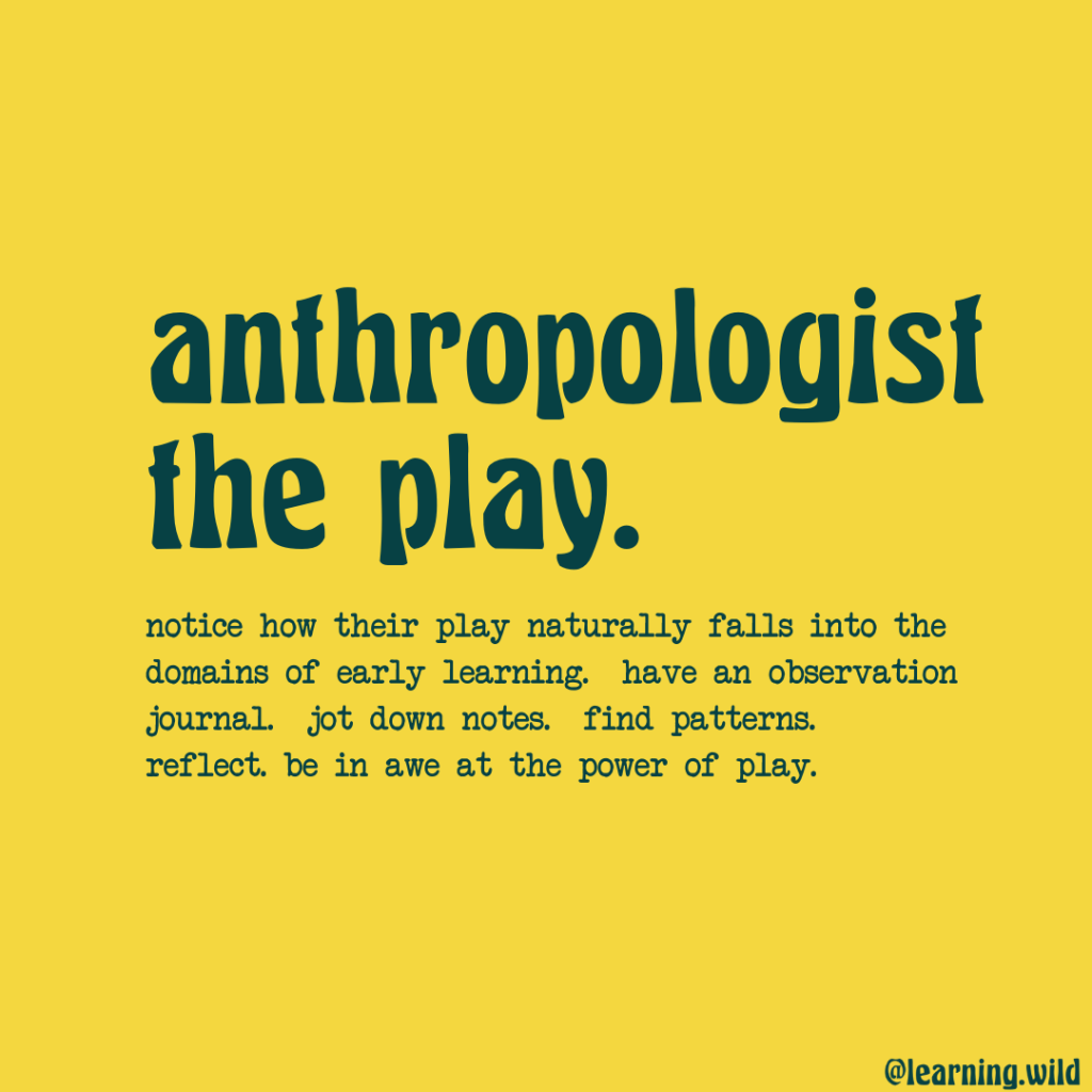 How To Be A Play Detective