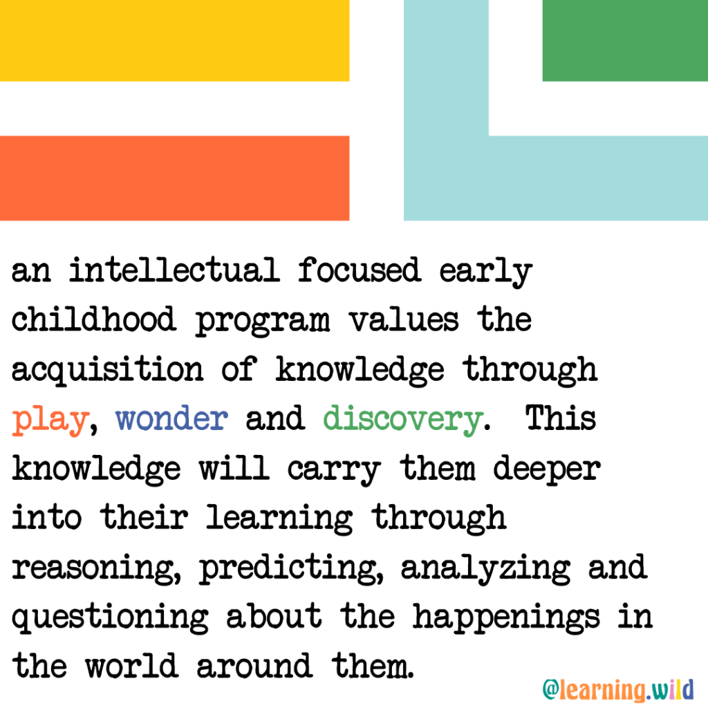 Play is More Intellectual Than Academics