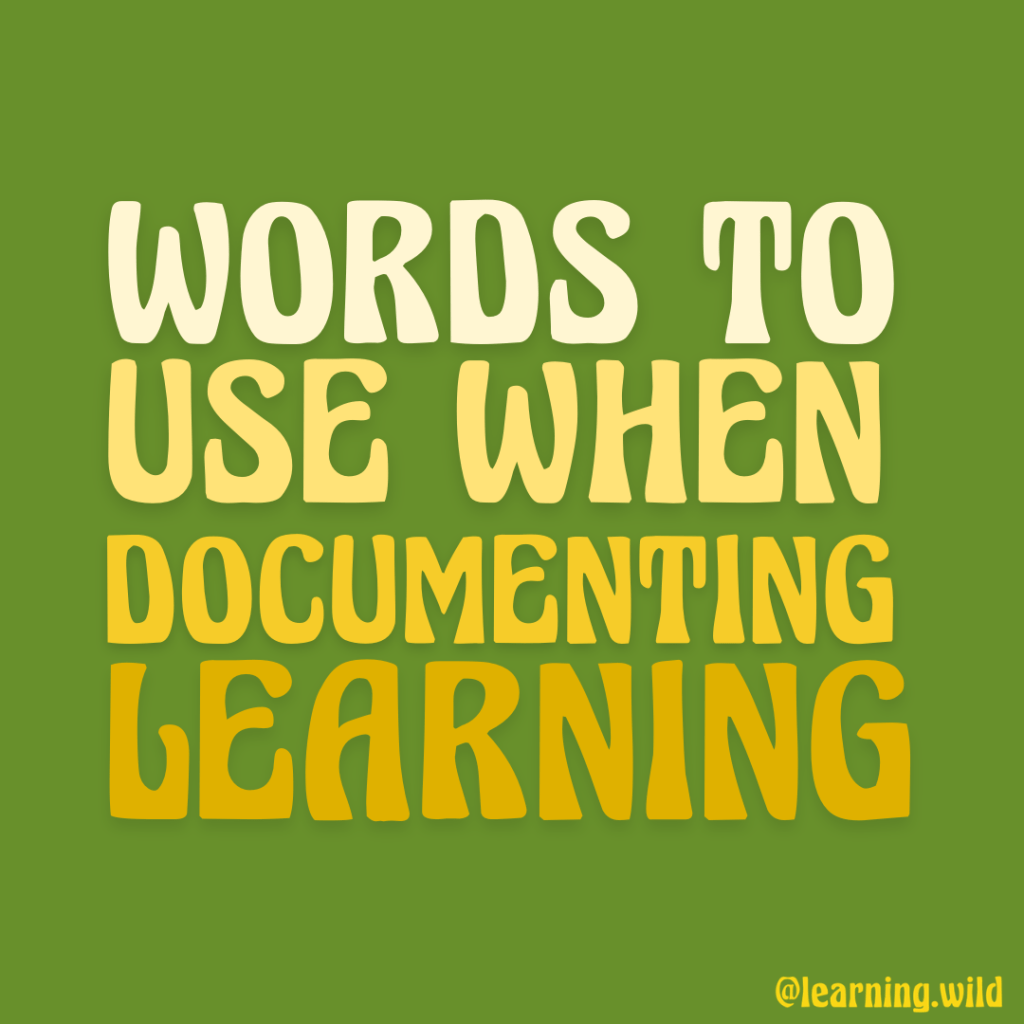language to use when documenting learning