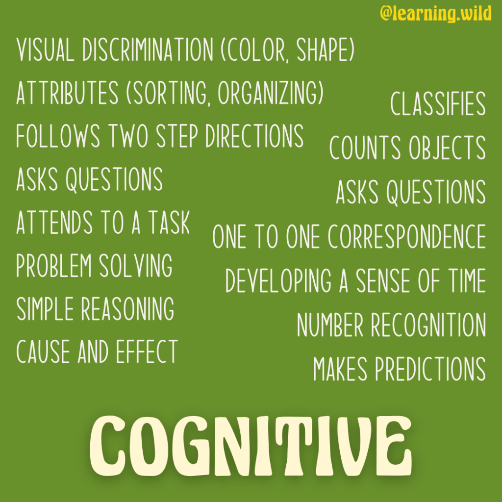language to use when documenting learning