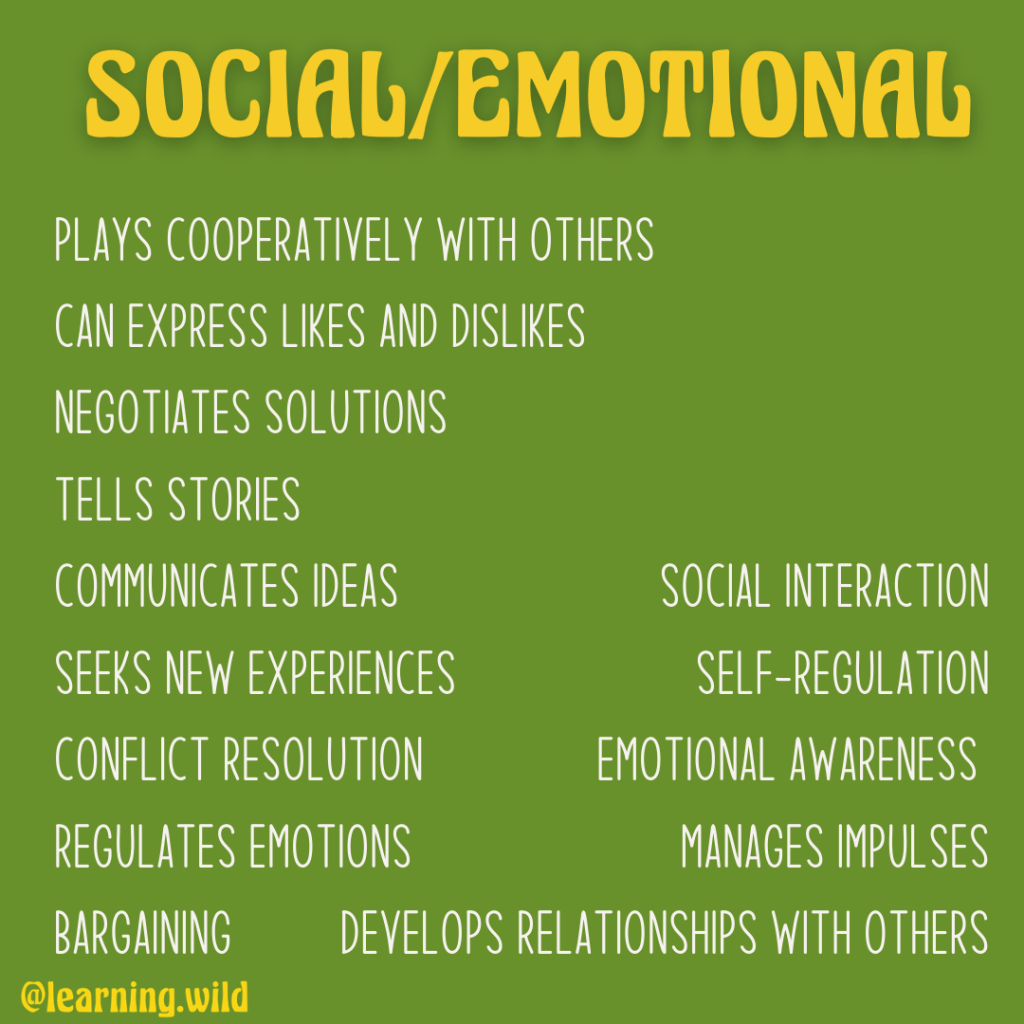 language to use when documenting learning