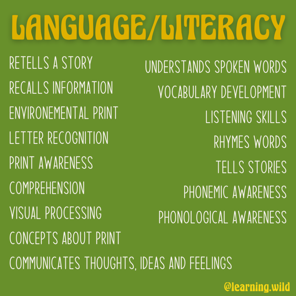 language to use when documenting learning