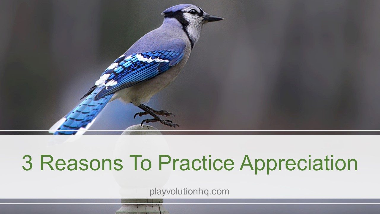 3 Reasons To Practice Appreciation