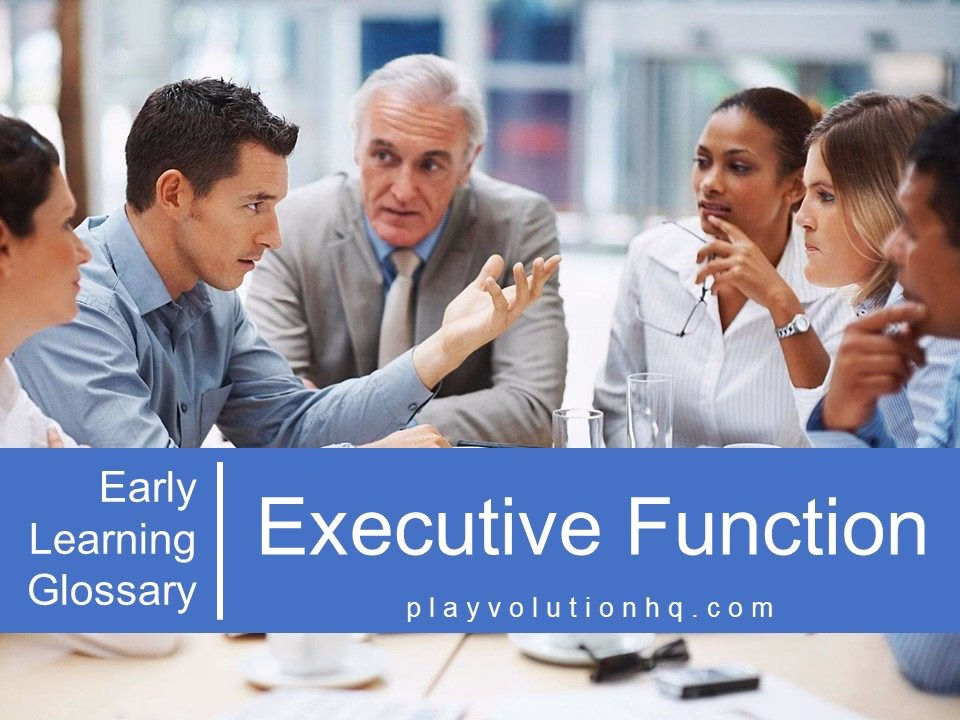 Executive Function