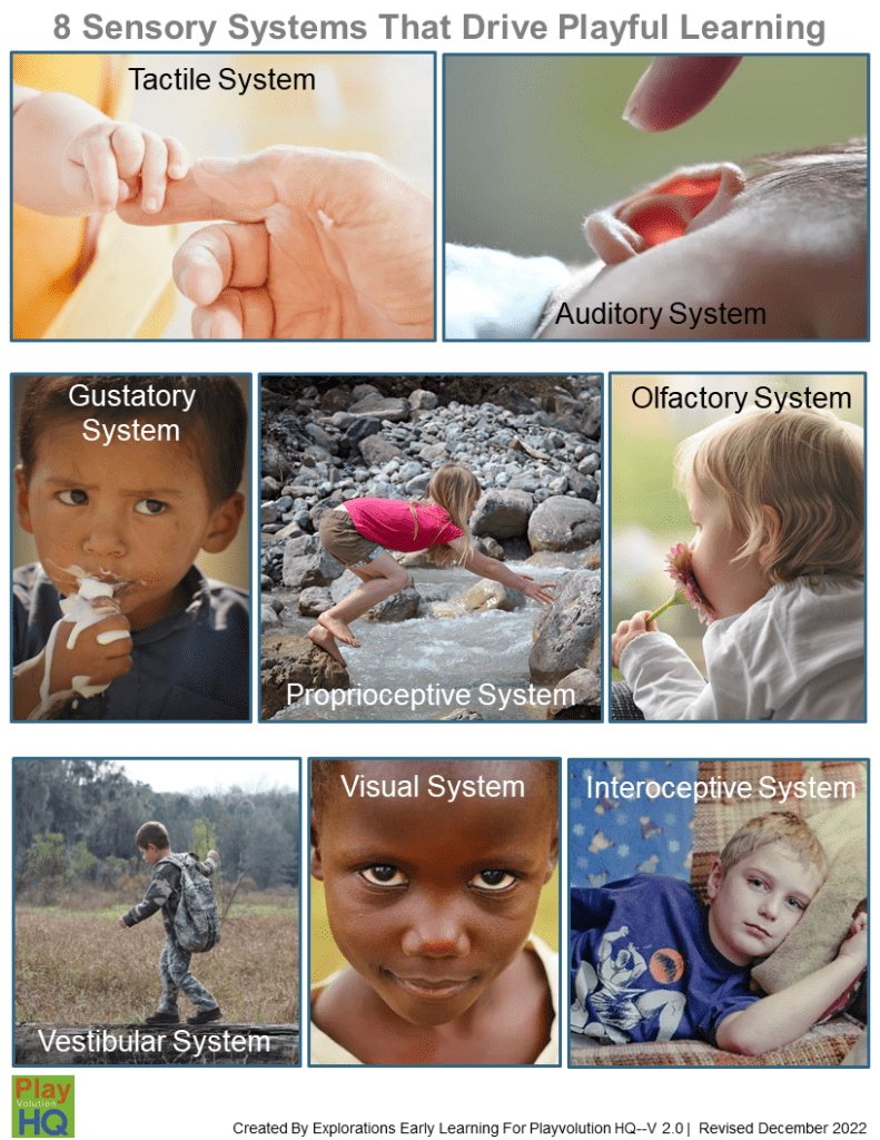 8 Sensory Systems That Drive Playful Learning