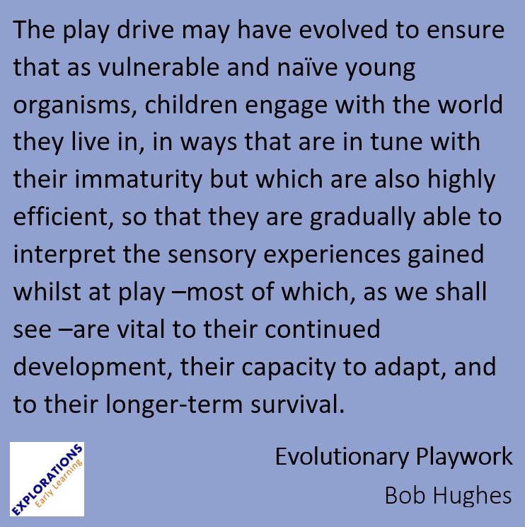 Evolutionary Playwork | Quote 02507