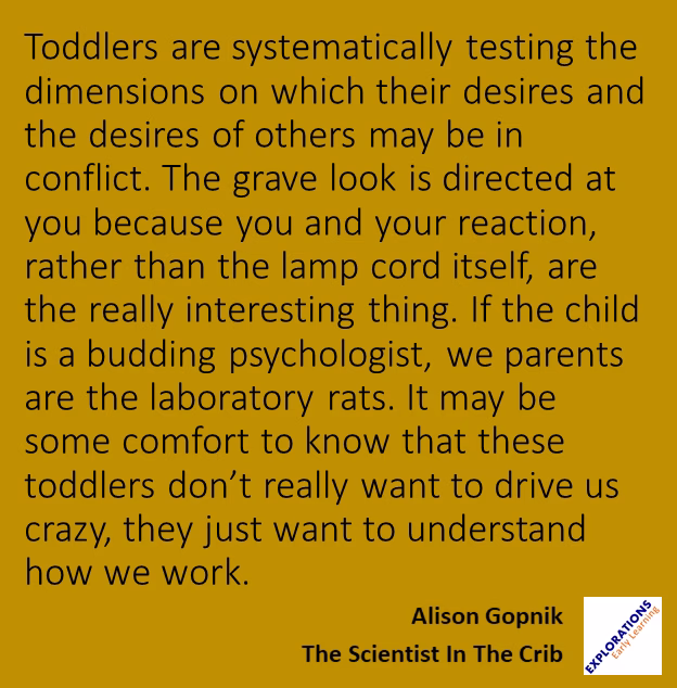 The Scientist In The Crib | Quote 01513