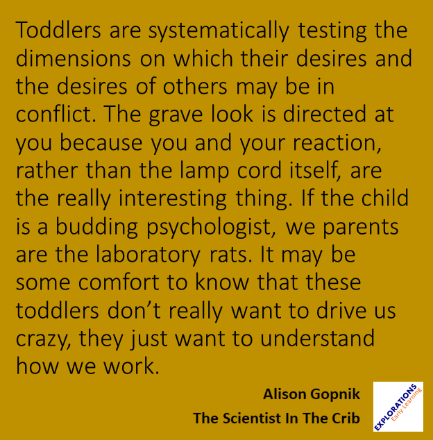 The Scientist In The Crib | Quote 01513