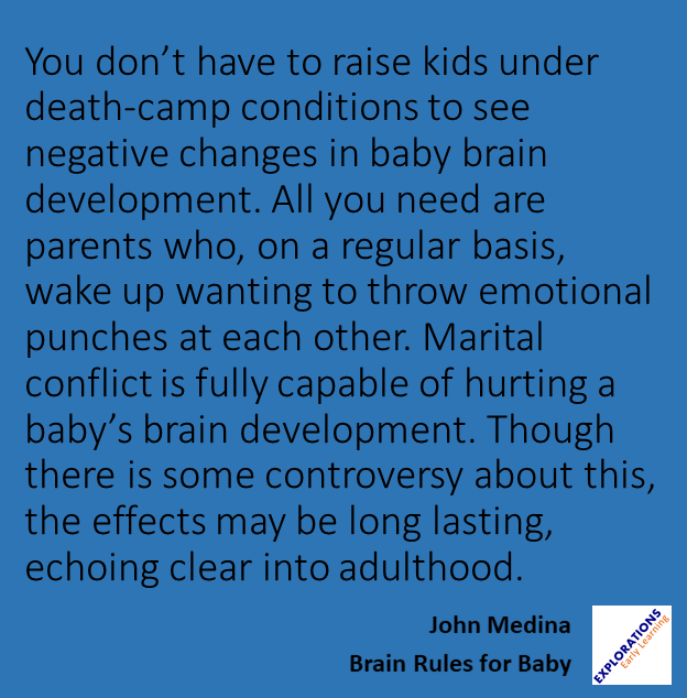 Brain Rules For Baby  | Quote 01357