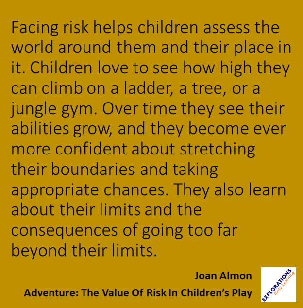 Adventure: The Value Of Risk In Children’s Play | Quote 00659