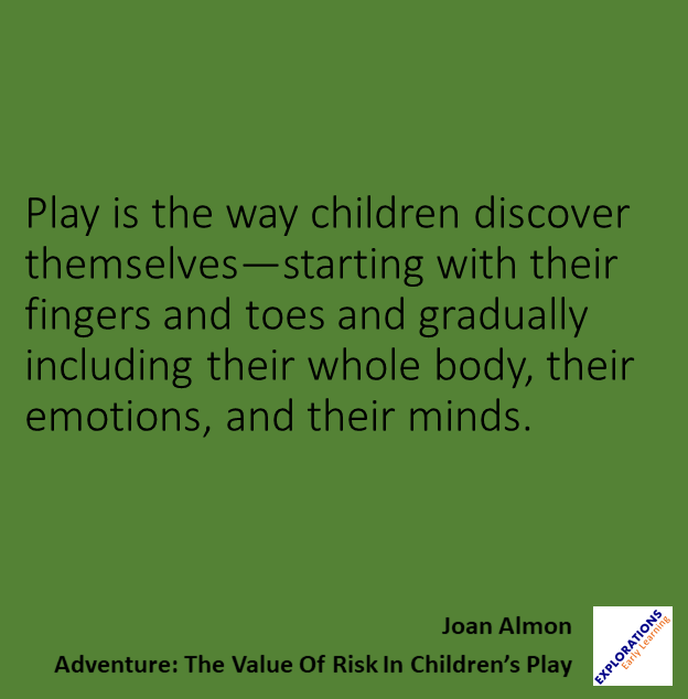 Adventure: The Value Of Risk In Children’s Play | Quote 01216