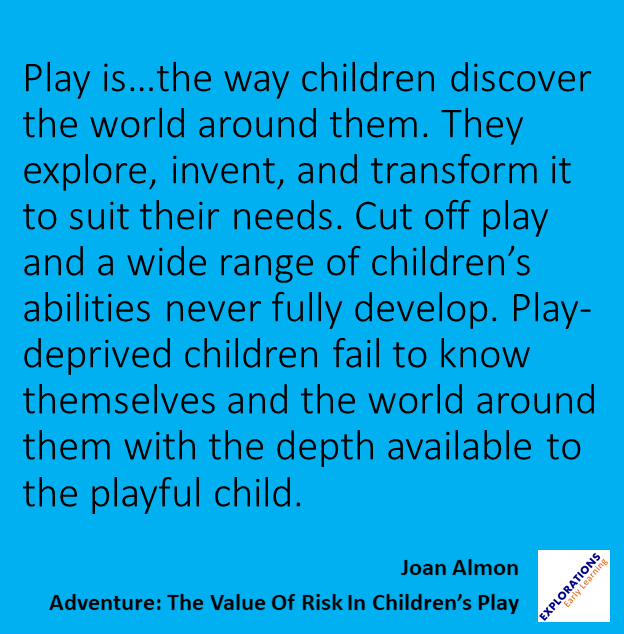 Adventure: The Value Of Risk In Children’s Play | Quote 01353