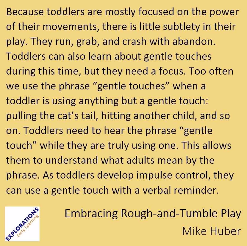Embracing Rough-And-Tumble Play | Quote 01997