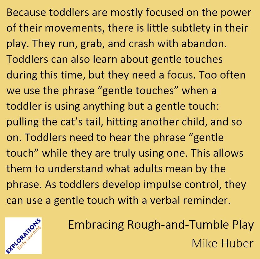 Embracing Rough-And-Tumble Play | Quote 01997