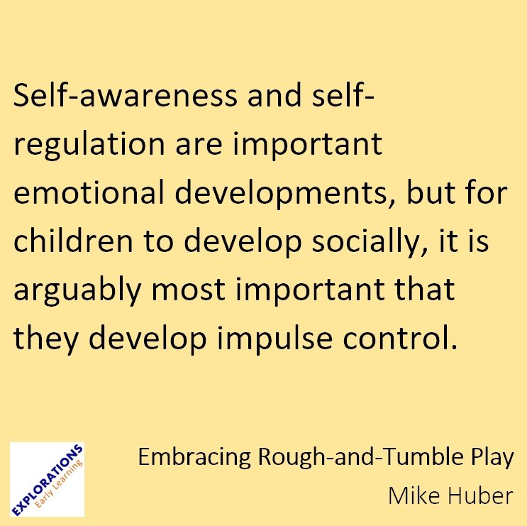 Embracing Rough-And-Tumble Play | Quote 02377