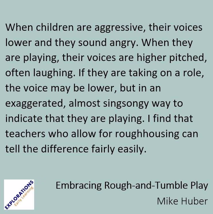 Embracing Rough-and-Tumble Play | Quote 02463
