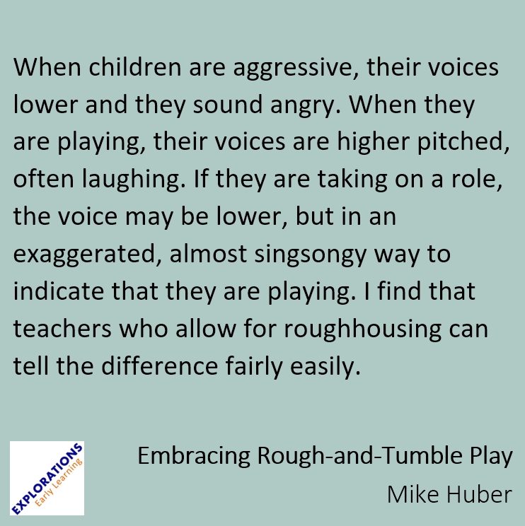 Embracing Rough-and-Tumble Play | Quote 02463