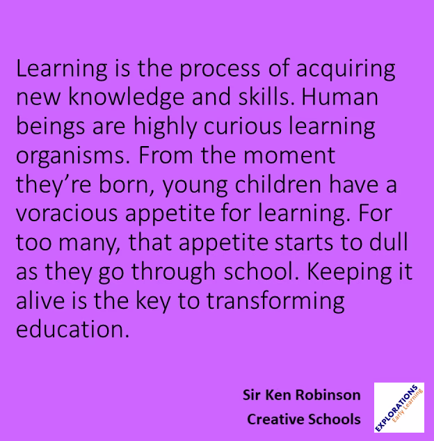Creative Schools  | Quote 00256